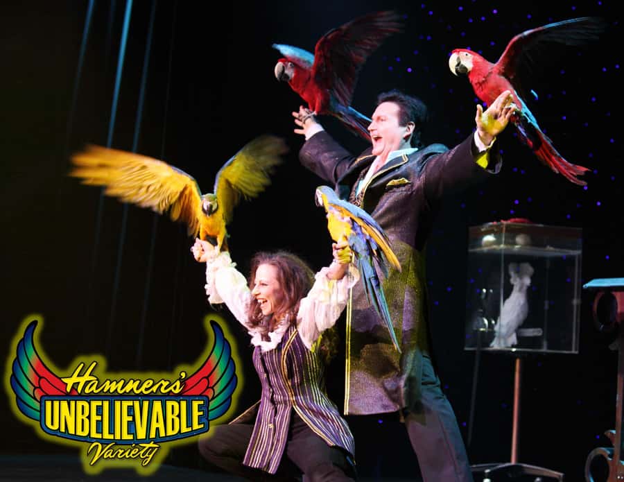 Branson: Hamners' Unbelievable Variety Show Entry Ticket - Comedy keeps the spectacle from feeling too heavy