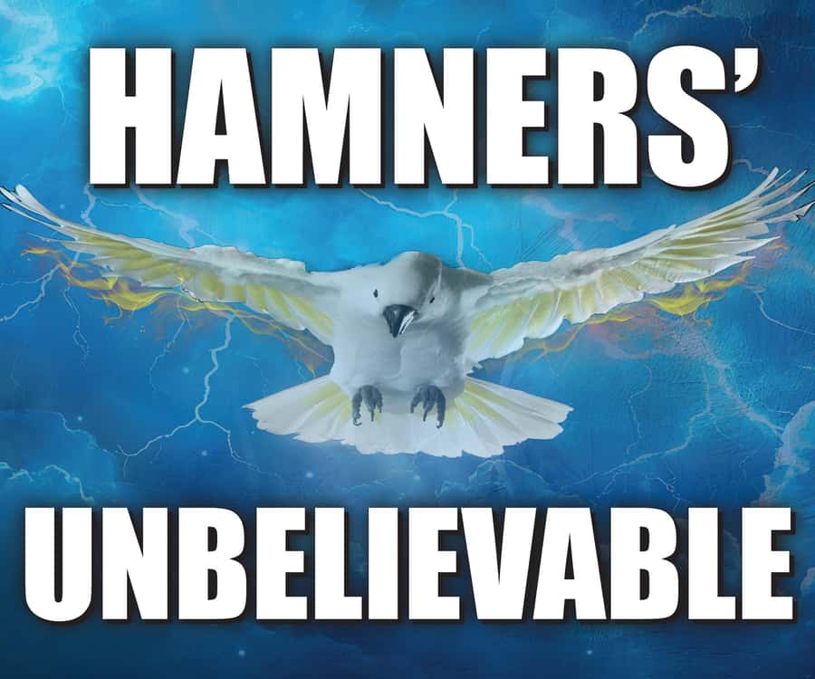 Branson: Hamners' Unbelievable Variety Show Entry Ticket - The patriotic finale gives the night a clear ending