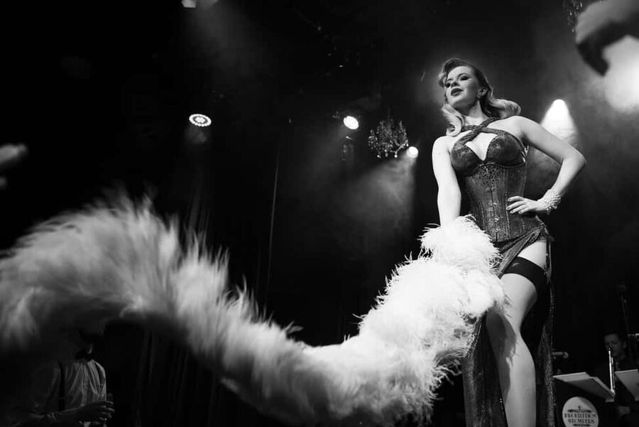 Burlesque Dinner Club in Vienna - Timing, language, and small practical details