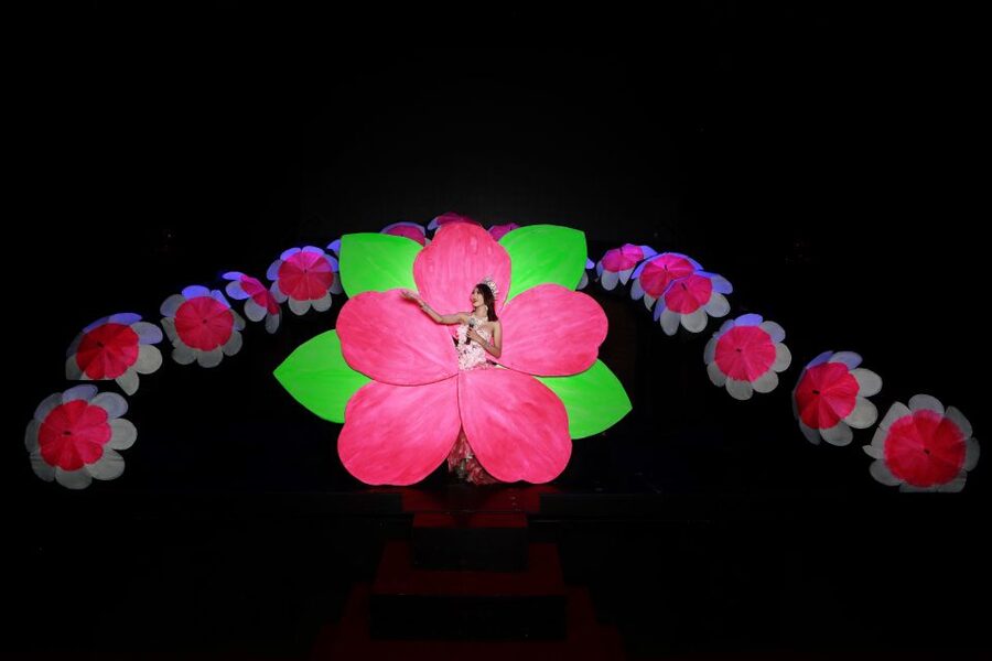 Chiang Mai: Siam Dragon Cabaret Show with Optional Transfer - Why the costumes matter more than the storyline