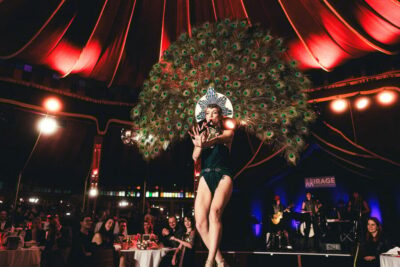 Mirage Vienna: Burlesque Spectacular – Dinner Show