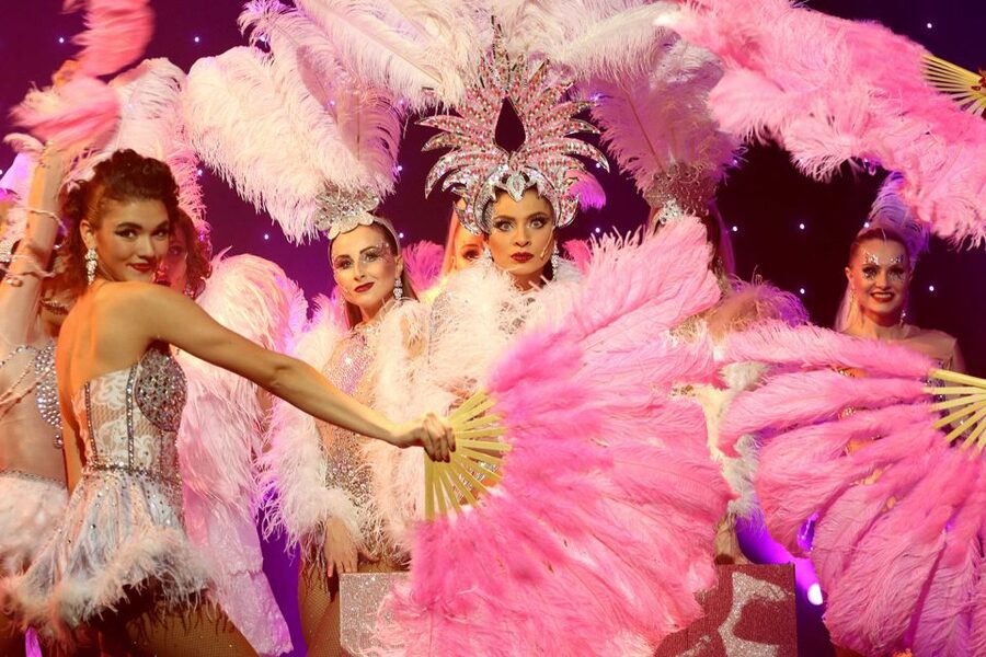 Prague: Evening Czech Cabaret Show at the Hybernia Theater - Who will enjoy this show most?