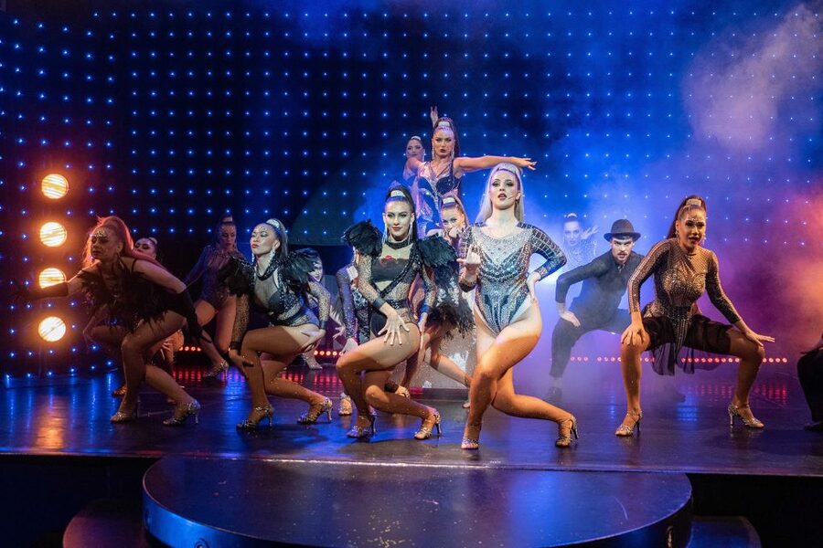 Prague: Evening Czech Cabaret Show at the Hybernia Theater - Should you book the Czech Cabaret Show?