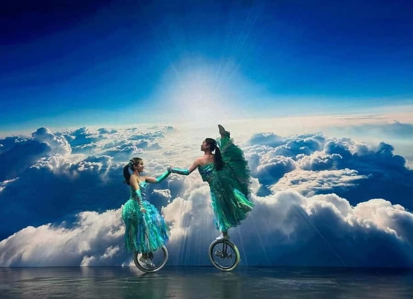Tokyo: Japanese Style Variety Show with Dance,Magic & Dinner - Should you book this Tokyo show?
