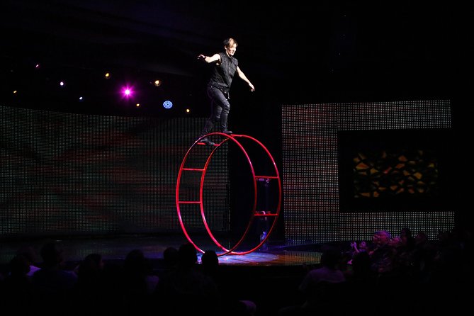 V - The Ultimate Variety Show at Planet Hollywood Resort and Casino - What kind of Las Vegas show is V?